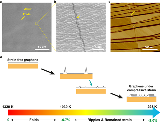 graphene folds in an adlayer-free single-crystal graphene film on a Cu(111) foil