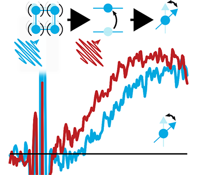 Schematic image of the magnetic anisotropy control by resonant pumping of phonon (blue) and 4f electrons (red)