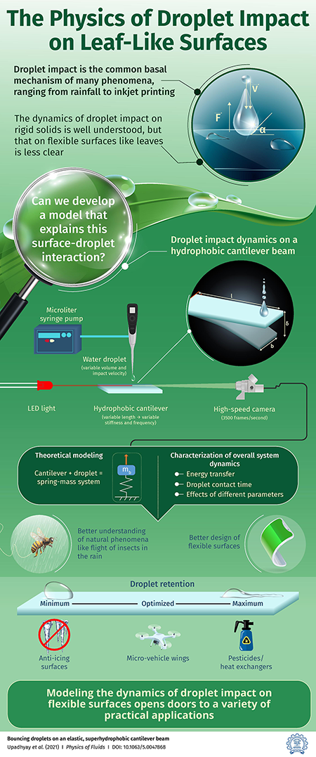 the physics of droplet impact on leaves