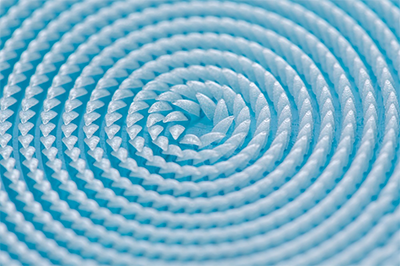 Araucaria leaf-inspired surface with 3D ratchets
