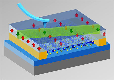 A rendering of a nanoscopically thin polymer (semitransparent blue) atop rhenium disulfide