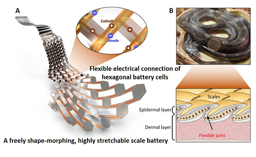 Structure of a stretchable scale battery mimicking snake scales
