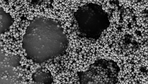 SEM (scanning electron microscopy) image of the evaporation-induced self-organization of the peptide-silica conjugates