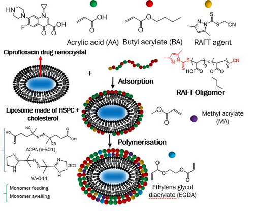 Elongated nanocapsules can be prepared by polymerisation at the surface of elongated liposome templates with drug nanocrystals