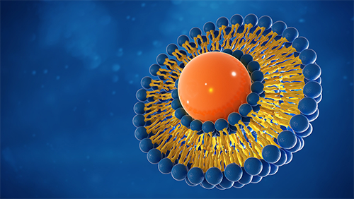 DNA nanostructures to effectively manipulate synthetic liposomes