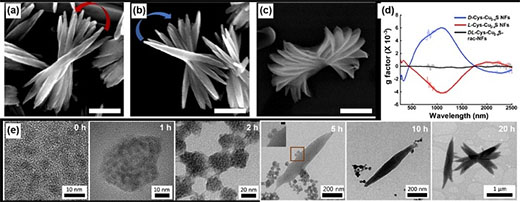 self-assembly of nanoparticles to nanoflowers
