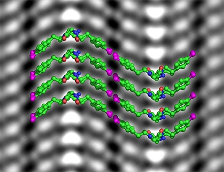 Cryogenic imaging combined with machine learning allowed scientists to derive the chemical structure of short peptoid polymers (green) from micrographs (grayscale image) and observe bromine atoms on the side chains (magenta)