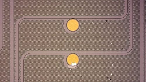 Photonic circuits with tungsten oxyselenide-doped graphene placed on circular ring resonators