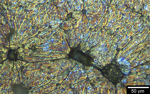 virus-based templates for growing polymers with magnetic properties