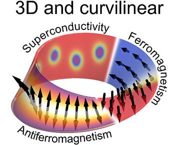 Abrikosov vortices in a superconductor and magnetization configurations in an (anti-)ferromagnet on a Möbius strip