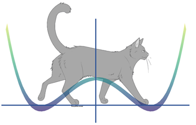Schrödinger's cat illustrates the paradox of superposition