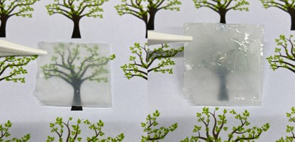 Nanocellulose-composite films with various optical functionalities