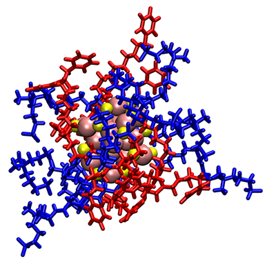 gold nanocluster in their molecular envelope