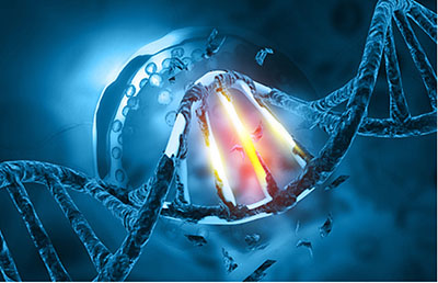 DNA double helix