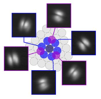 STM images of all six observable azimuthal orientations of s-PTCDA, linked to the respective adatom dimers