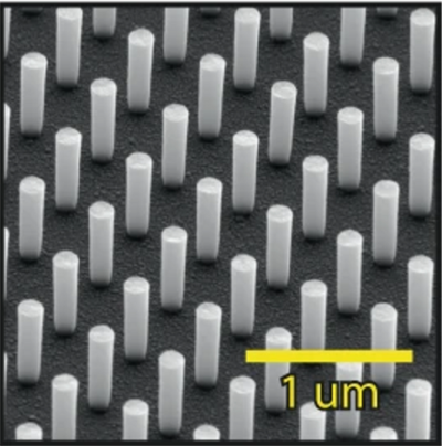 Scanning electron microscope picture of nanopillars