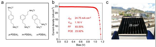 PDEAI2 isomers