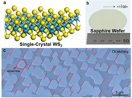 Single-crystal WS2