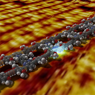 A packet of energy is generated on a molecular ladder by the absorption of light