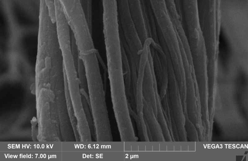 A micrograph of Linothele fallax silk