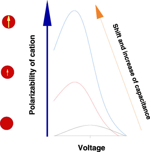Growth of polarizability or permanent dipole moment of cations leads to considerable growth of differential capacitance