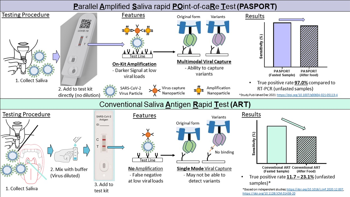 Comparison between how PASPORT, a new saliva-based COVID-19 antigen rapid test (ART) technology, and a conventional saliva-based ART processes samples