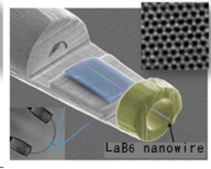 SEM image of the LaB6 nanowire-based electron source