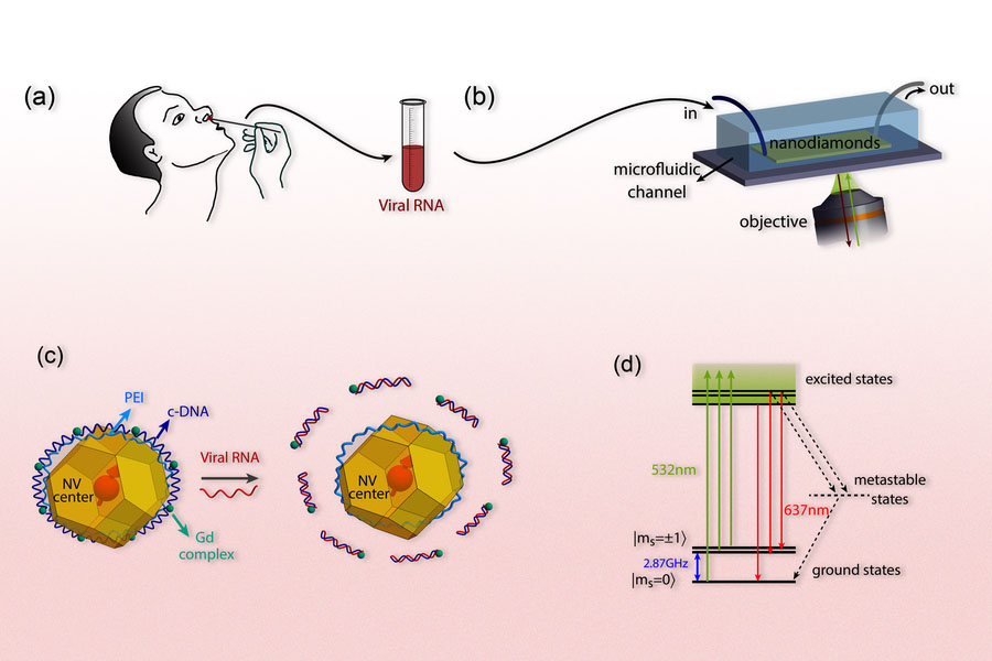 Sensor based on quantum physics to detect SARS-CoV-2 virus