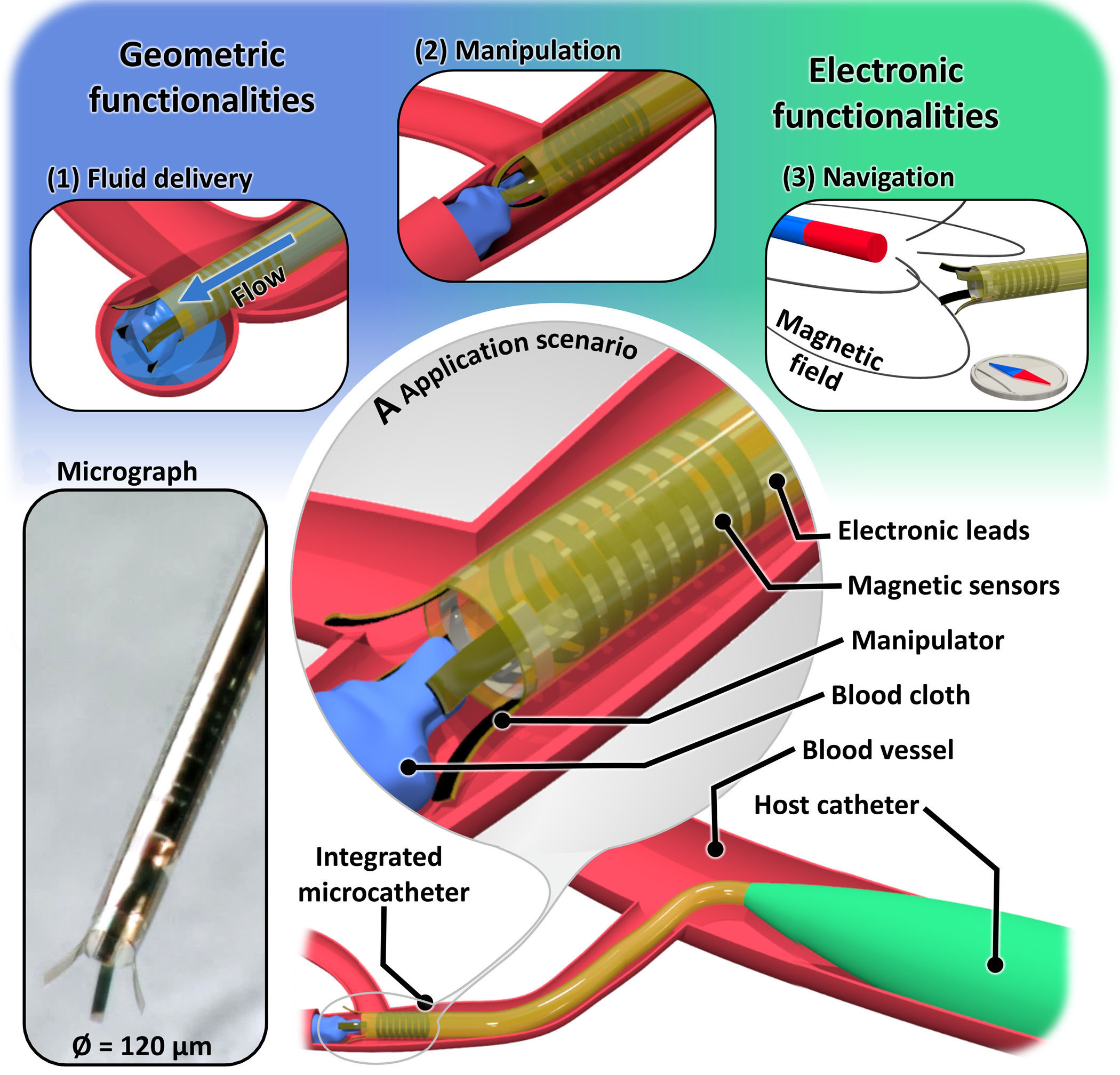 Functionalities of integrated self-assembled catheters