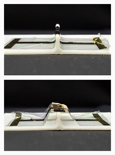 Conformability test of a flexible gold electrode