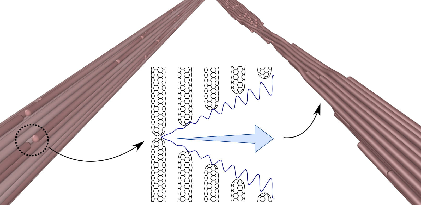 cyclic loading of nanotube fibers leads to strain ratcheting that can eventually lead to the failure of the fiber