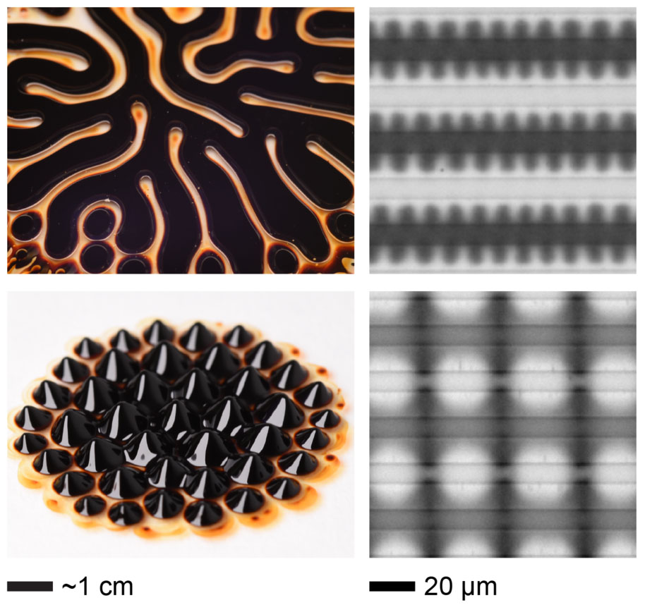 patterns exhibited by an electroferrofluid
