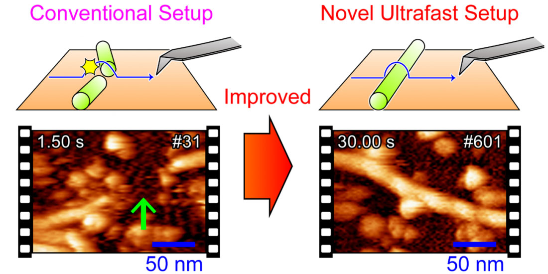 Comparison of AFM images taken by conventional and ultrafast amplitude detector