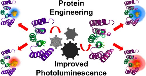 Protein engineering for the synthesis of highly photoluminescent protein-stabilized gold nanoclusters