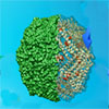 Novel hybrid nanocages for sooner catalysis