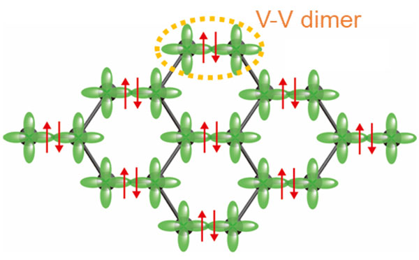 A schematic of the honeycomb lattice (vanadium ions) and V−V dimers in ilmenite-type magnesium vanadate