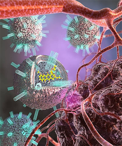 Liposomes studded with carbon nanotubes and carrying a chemotherapy drug dock to the surface of a cancer cell