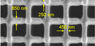 Scanning Electron Microscopy (SEM) image of the nanoscale lattice