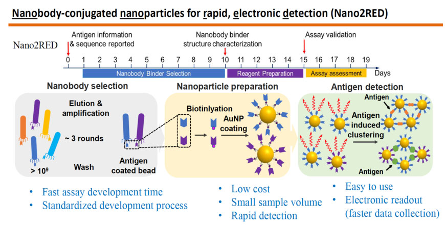 The graphic highlights the key features of Nano2RED, an innovative diagnostic method