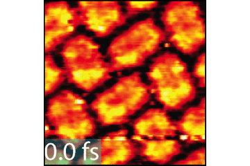 The film shows where the most energetic charge carriers of the organic dye PTCDA are located.
