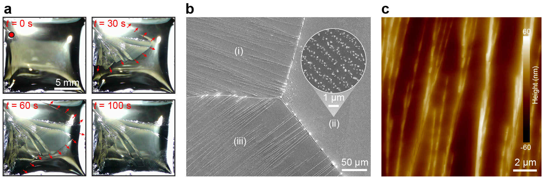 Time-lapse of a seeded surface solidification process, with arrows indicating the propagating direction of the surface solidification front