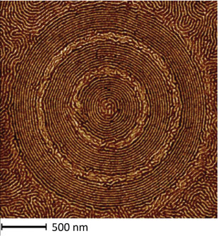 Atomic force microscopy image of self-assembling concentric nanorings