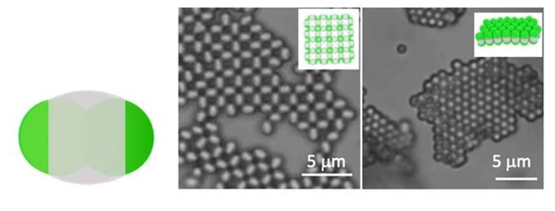 selective crystallization