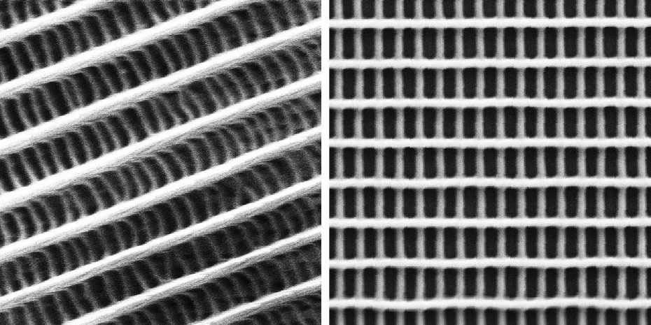 Two-layer grid under the electron microscope