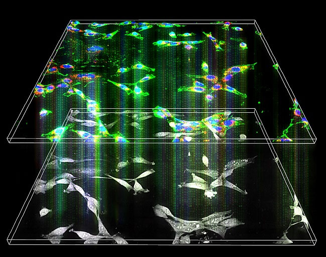 artistic rendering of the concept of AI-based holographic microscopy