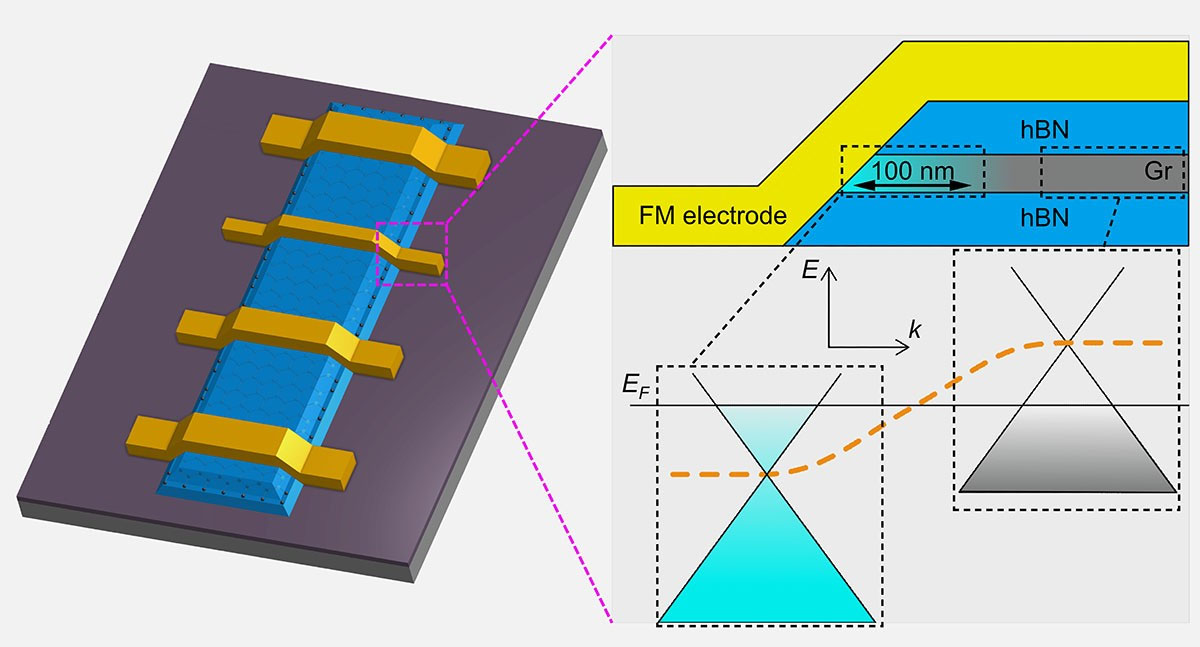 tunable spin signal in fully encapsulated graphene