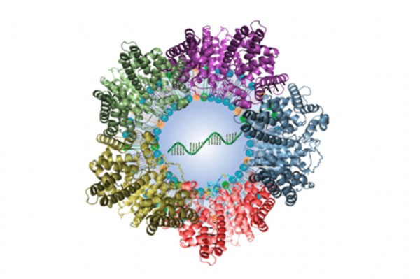 Illustration of mRNA-packed lipid nanoparticle surrounded by plasma proteins