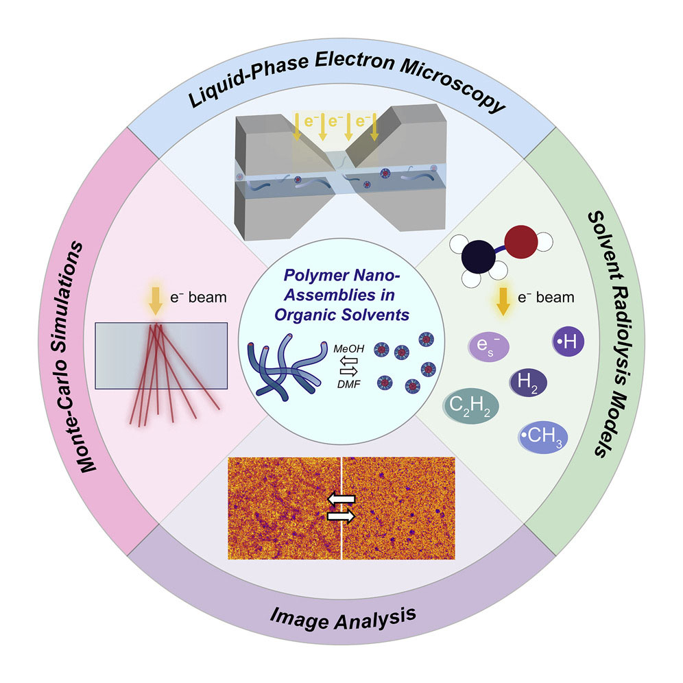 Organic solution-phase transmission electron microscopy of copolymer nanoassembly morphology and dynamics