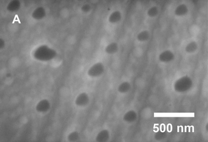canning electron microscopy of the aluminum-gallium composite shows aluminum nanoparticles in a matrix of gallium.