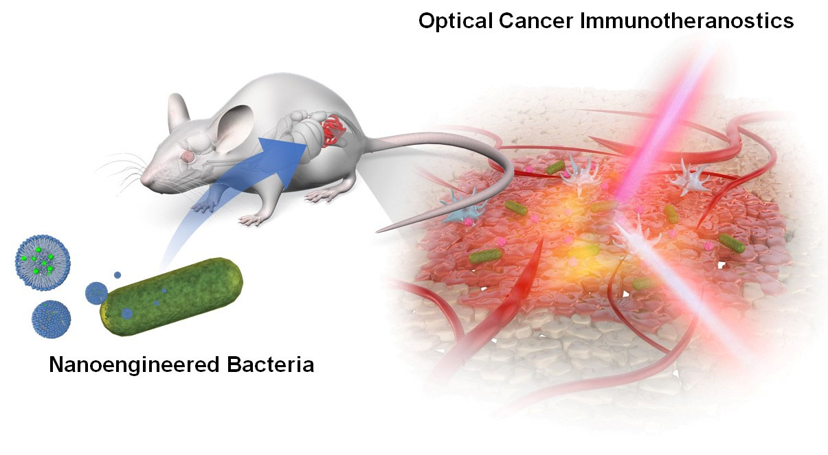Schematic illustration of nanoengineered bacteria-based optical cancer immunotheranostics